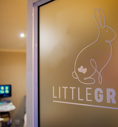 Little Gram 4D Scanning Studio